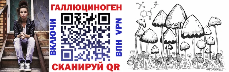 hydra как войти  Слободской  Псилоцибиновые грибы GOLDEN TEACHER 